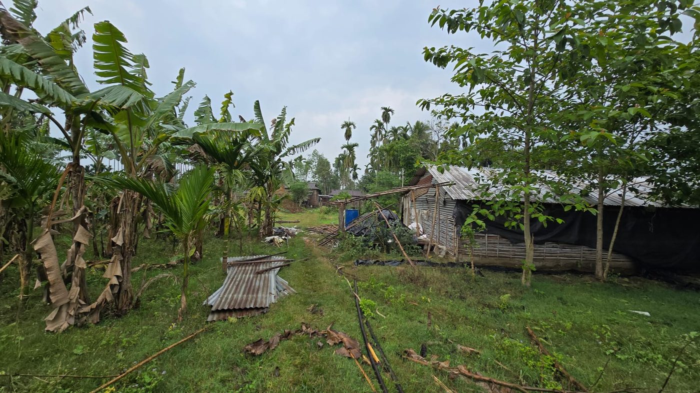 Poultry shed at Basnet Krishi Farm